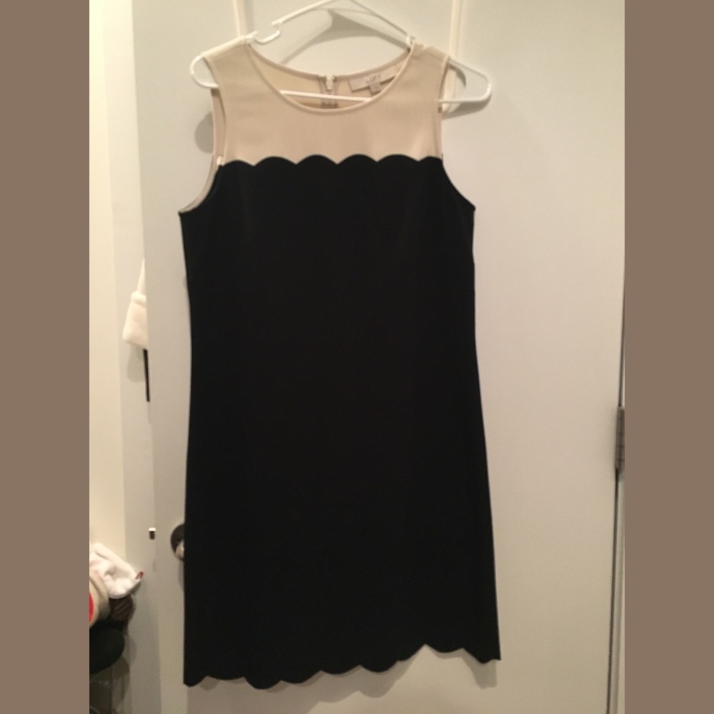 Loft Scalloped Dress 🎀